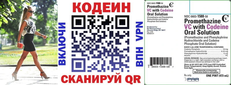 Купить закладки  Нестеров  Кодеиновый сироп Lean Purple Drank 