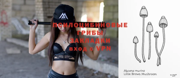 spice Володарск