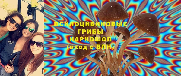 spice Володарск