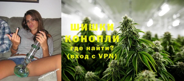 мдпв Волосово