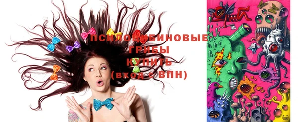 мдпв Волосово