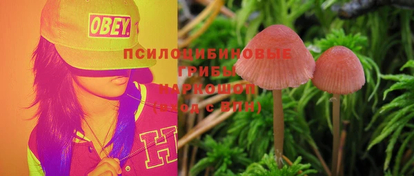 мдпв Волосово