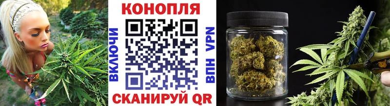 Канабис индика  Купить где  Нестеров 